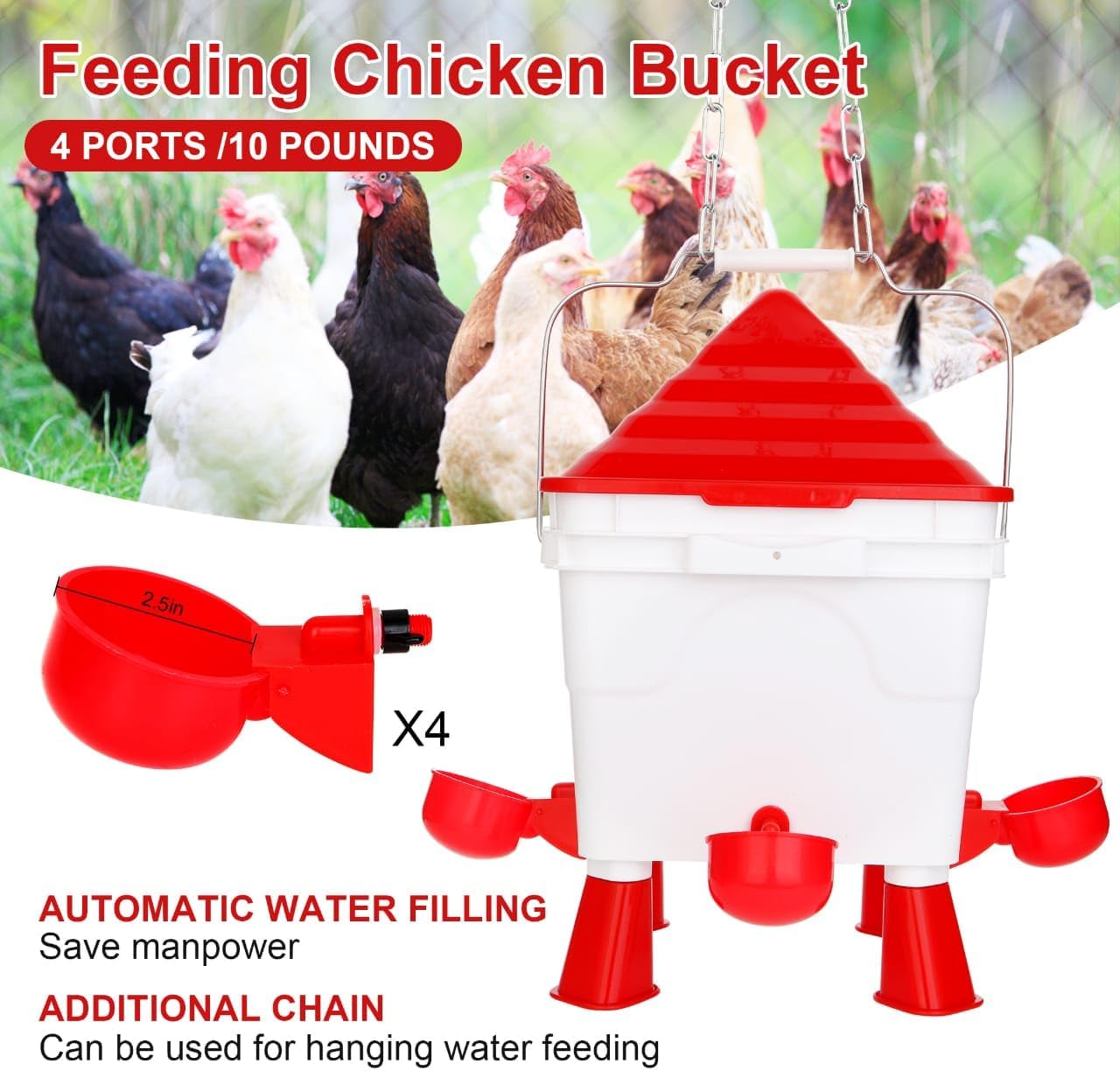 Chicken Feeder & Waterer Kit