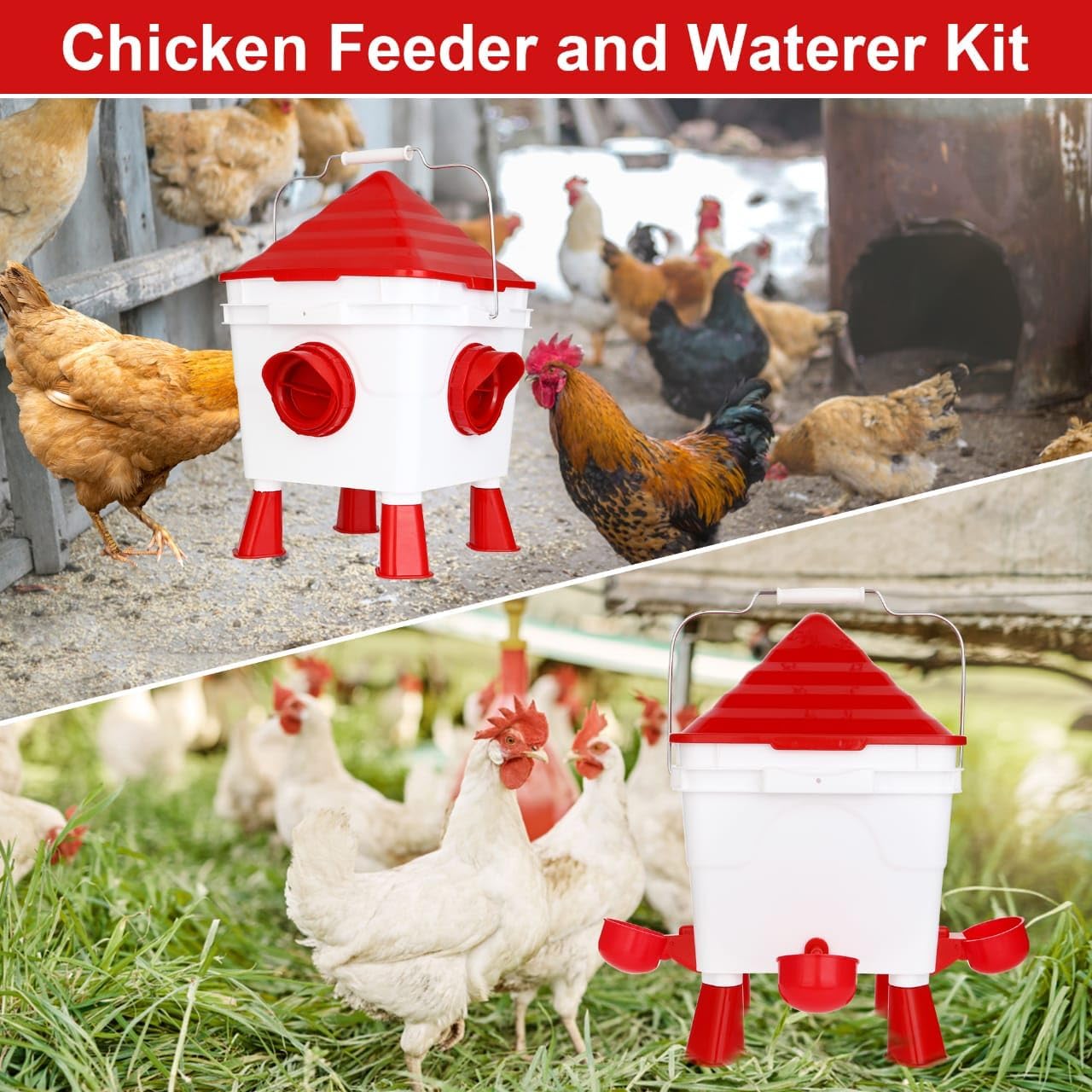 Chicken Feeder & Waterer Kit